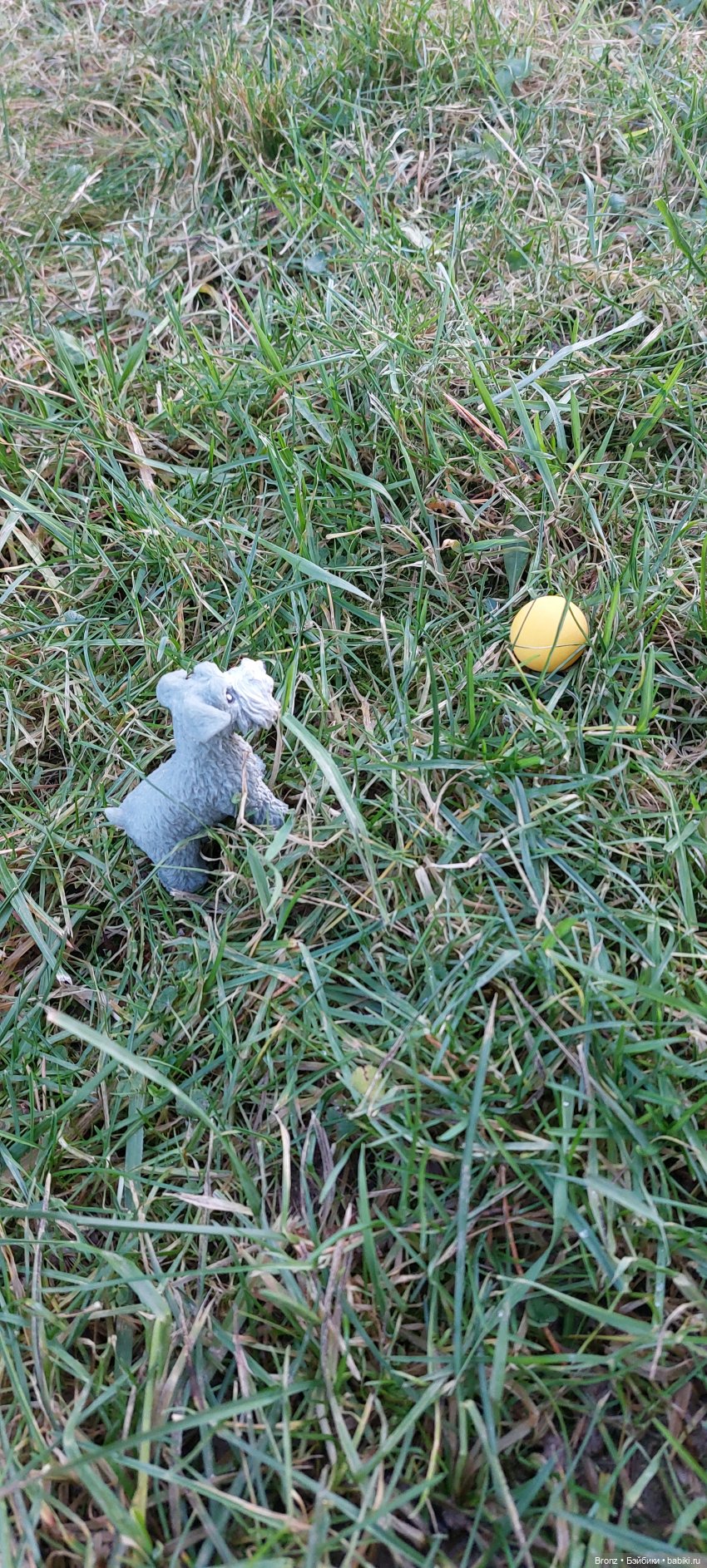 Тоби на прогулке — Куклы Barbie (Барби): Looks (фото 6)