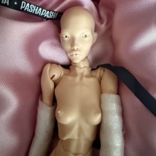 Новая Charisma от Pashapasha