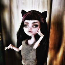 Коты. Monster High Монстер Хай