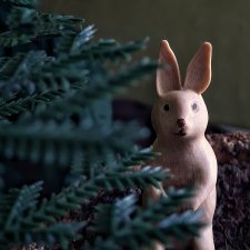 Зай в лесу 🐰