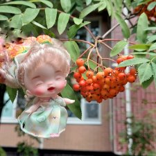 Маленькая феечка