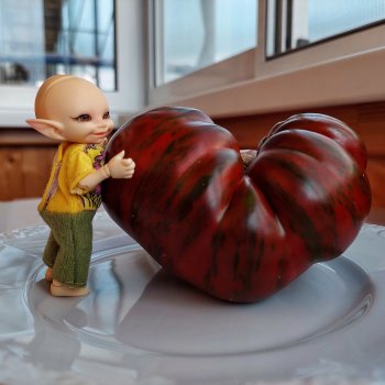 Сёмик и Амурский тигррррр 🐯