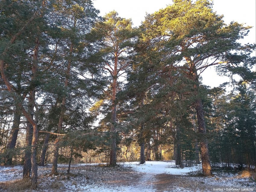 Посленовогодие 2 или опять едем в гости! Без друзей меня чуть-чуть, а с друзьями много! Ч.2 | Бэйбики Посленовогодие 2 или опять едем в гости! Без друзей меня чуть-чуть, а с друзьями много! Ч.2