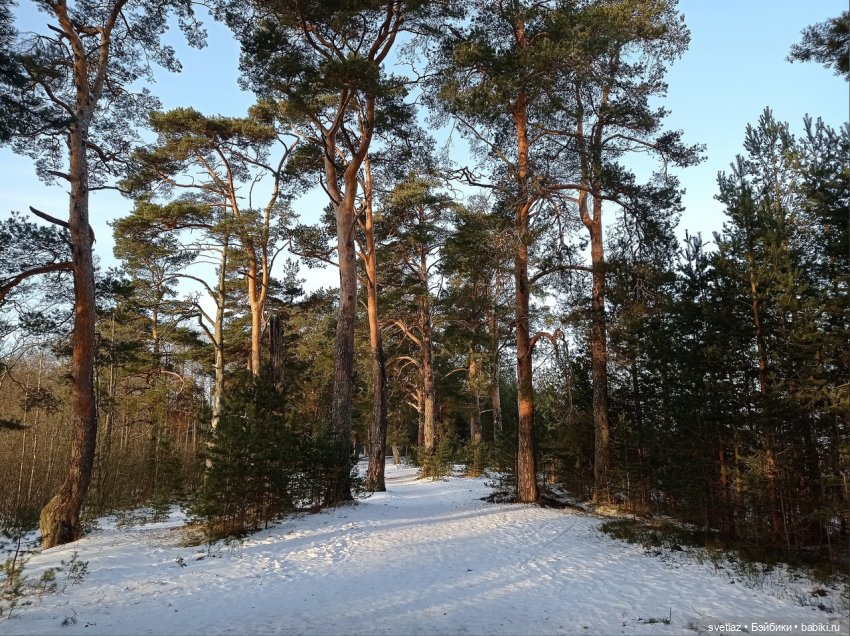 Посленовогодие 2 или опять едем в гости! Без друзей меня чуть-чуть, а с друзьями много! Ч.2 | Бэйбики Посленовогодие 2 или опять едем в гости! Без друзей меня чуть-чуть, а с друзьями много! Ч.2 (фото 2)
