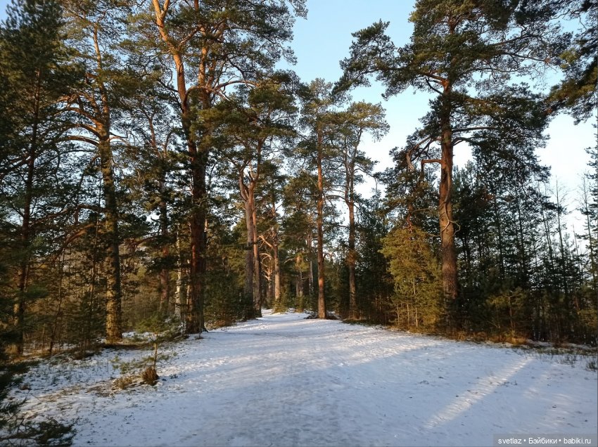 Посленовогодие 2 или опять едем в гости! Без друзей меня чуть-чуть, а с друзьями много! Ч.2 | Бэйбики Посленовогодие 2 или опять едем в гости! Без друзей меня чуть-чуть, а с друзьями много! Ч.2 (фото 10)
