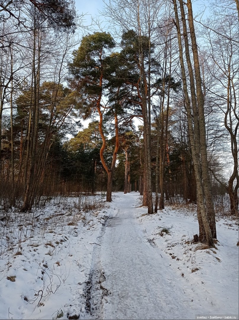 Посленовогодие 2 или опять едем в гости! Без друзей меня чуть-чуть, а с друзьями много! Ч.2 | Бэйбики Посленовогодие 2 или опять едем в гости! Без друзей меня чуть-чуть, а с друзьями много! Ч.2 (фото 8)