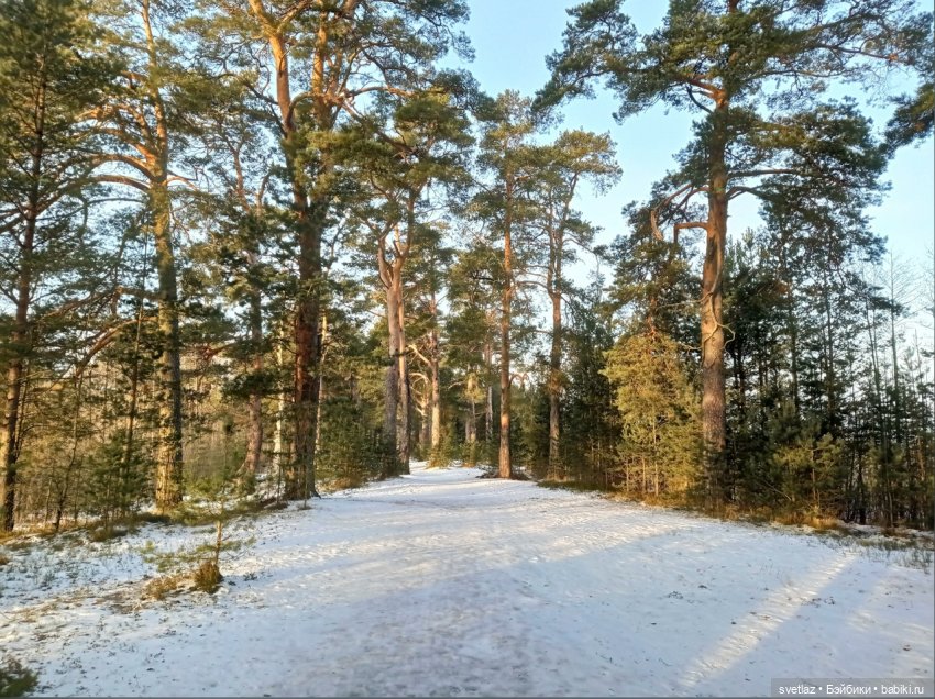 Посленовогодие 2 или опять едем в гости! Без друзей меня чуть-чуть, а с друзьями много! Ч.2 | Бэйбики Посленовогодие 2 или опять едем в гости! Без друзей меня чуть-чуть, а с друзьями много! Ч.2 (фото 3)