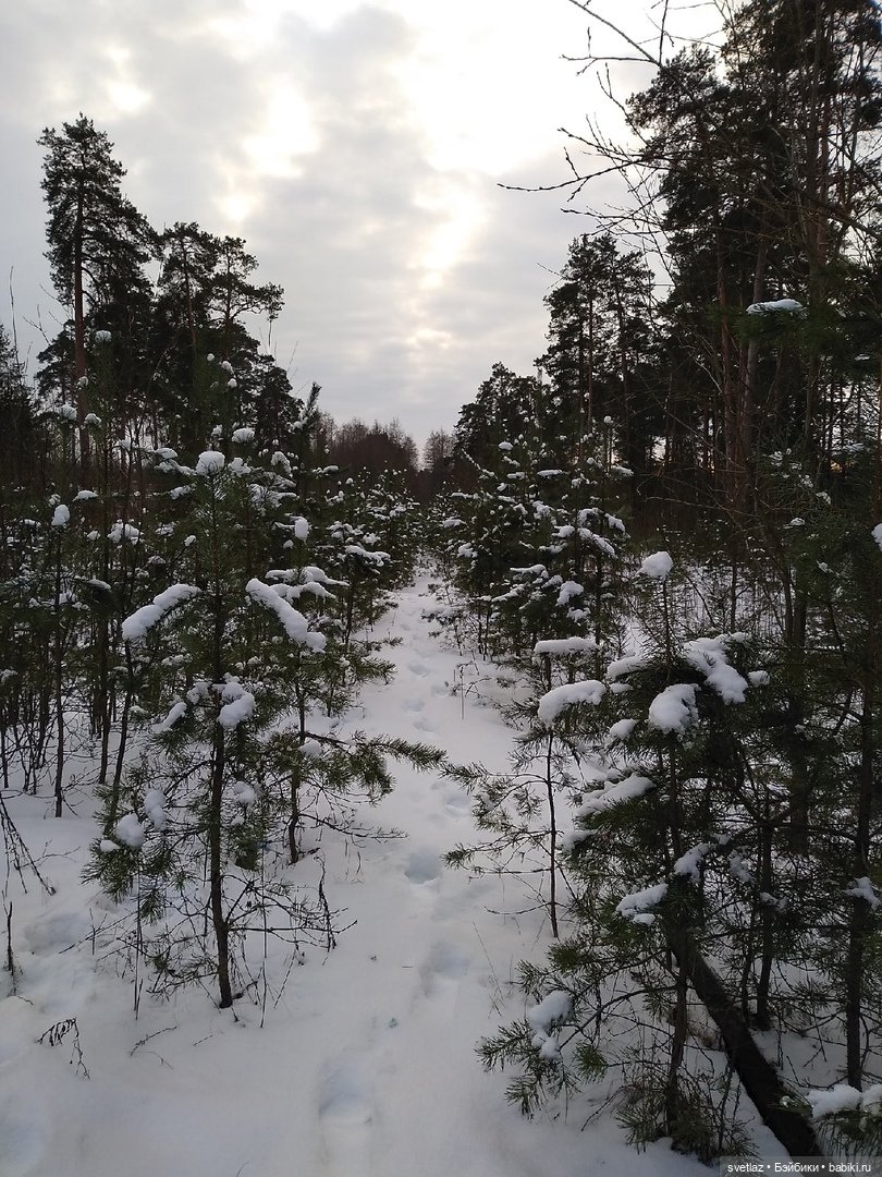 Посленовогодие 2 или опять едем в гости! Без друзей меня чуть-чуть, а с друзьями много! Ч.2 | Бэйбики Посленовогодие 2 или опять едем в гости! Без друзей меня чуть-чуть, а с друзьями много! Ч.2