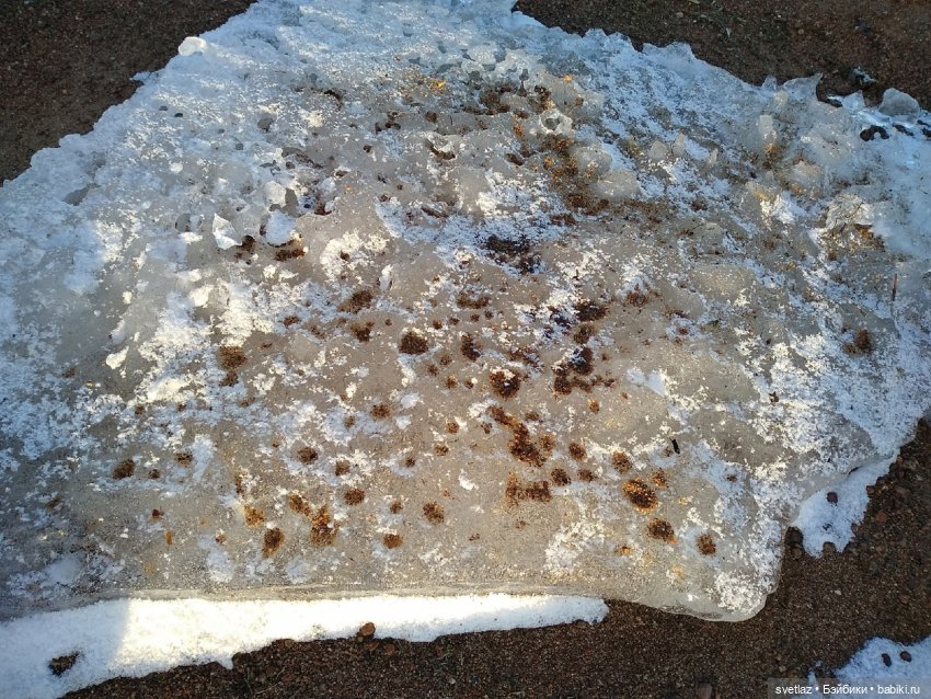 Посленовогодие 2 или опять едем в гости! Без друзей меня чуть-чуть, а с друзьями много! Ч.3