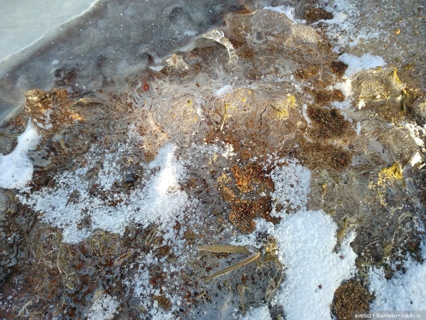 Посленовогодие 2 или опять едем в гости! Без друзей меня чуть-чуть, а с друзьями много! Ч.3