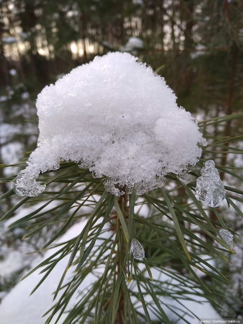 Посленовогодие 2 или опять едем в гости! Без друзей меня чуть-чуть, а с друзьями много! Ч.2 | Бэйбики Посленовогодие 2 или опять едем в гости! Без друзей меня чуть-чуть, а с друзьями много! Ч.2
