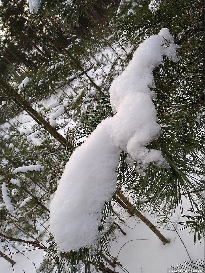 Посленовогодие 2 или опять едем в гости! Без друзей меня чуть-чуть, а с друзьями много! Ч.2 | Бэйбики Посленовогодие 2 или опять едем в гости! Без друзей меня чуть-чуть, а с друзьями много! Ч.2
