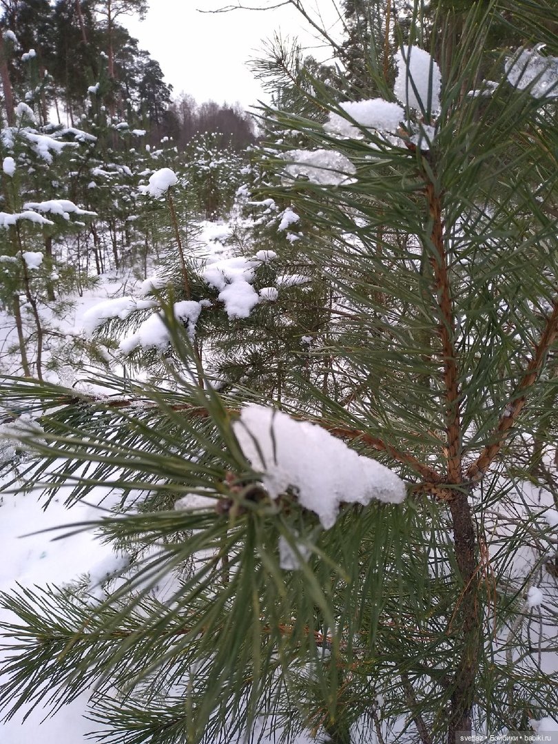 Посленовогодие 2 или опять едем в гости! Без друзей меня чуть-чуть, а с друзьями много! Ч.2 | Бэйбики Посленовогодие 2 или опять едем в гости! Без друзей меня чуть-чуть, а с друзьями много! Ч.2