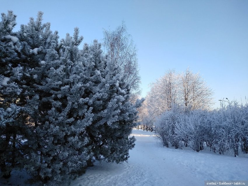 Один чудесный зимний день | Бэйбики Один чудесный зимний день
