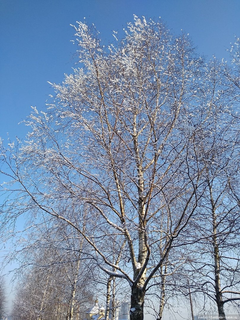 Один чудесный зимний день | Бэйбики Один чудесный зимний день