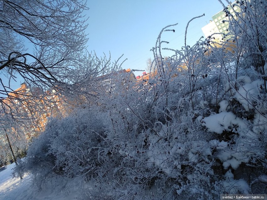 Один чудесный зимний день | Бэйбики Один чудесный зимний день