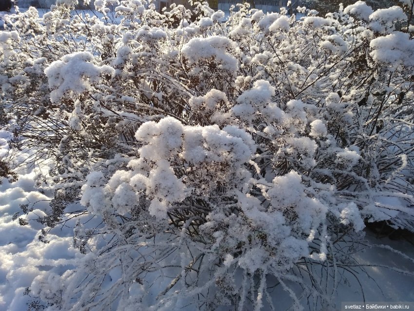Один чудесный зимний день | Бэйбики Один чудесный зимний день (фото 4)