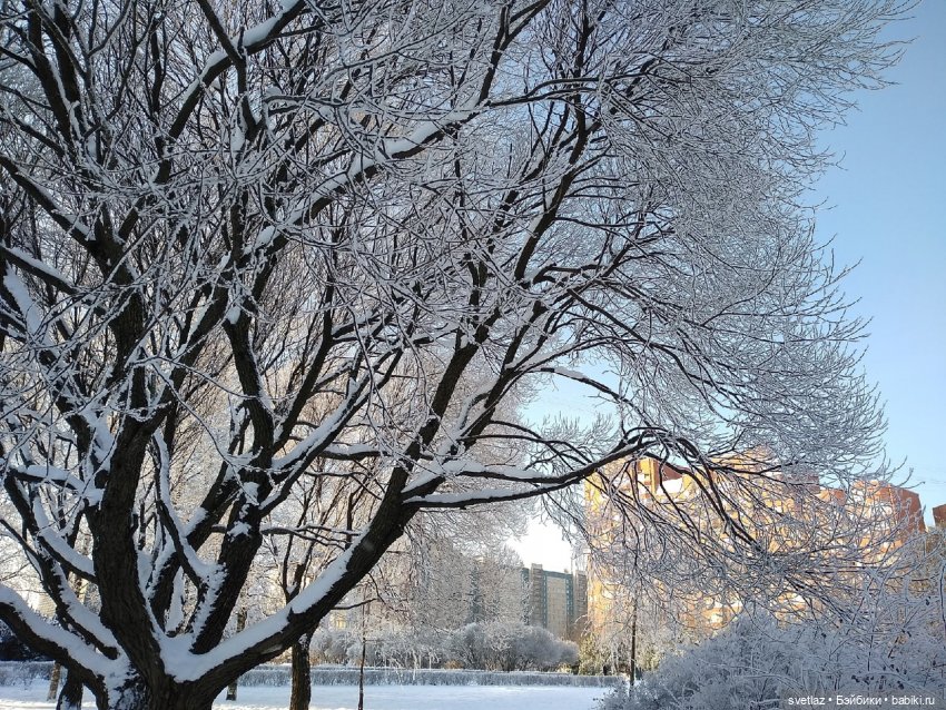 Один чудесный зимний день | Бэйбики Один чудесный зимний день