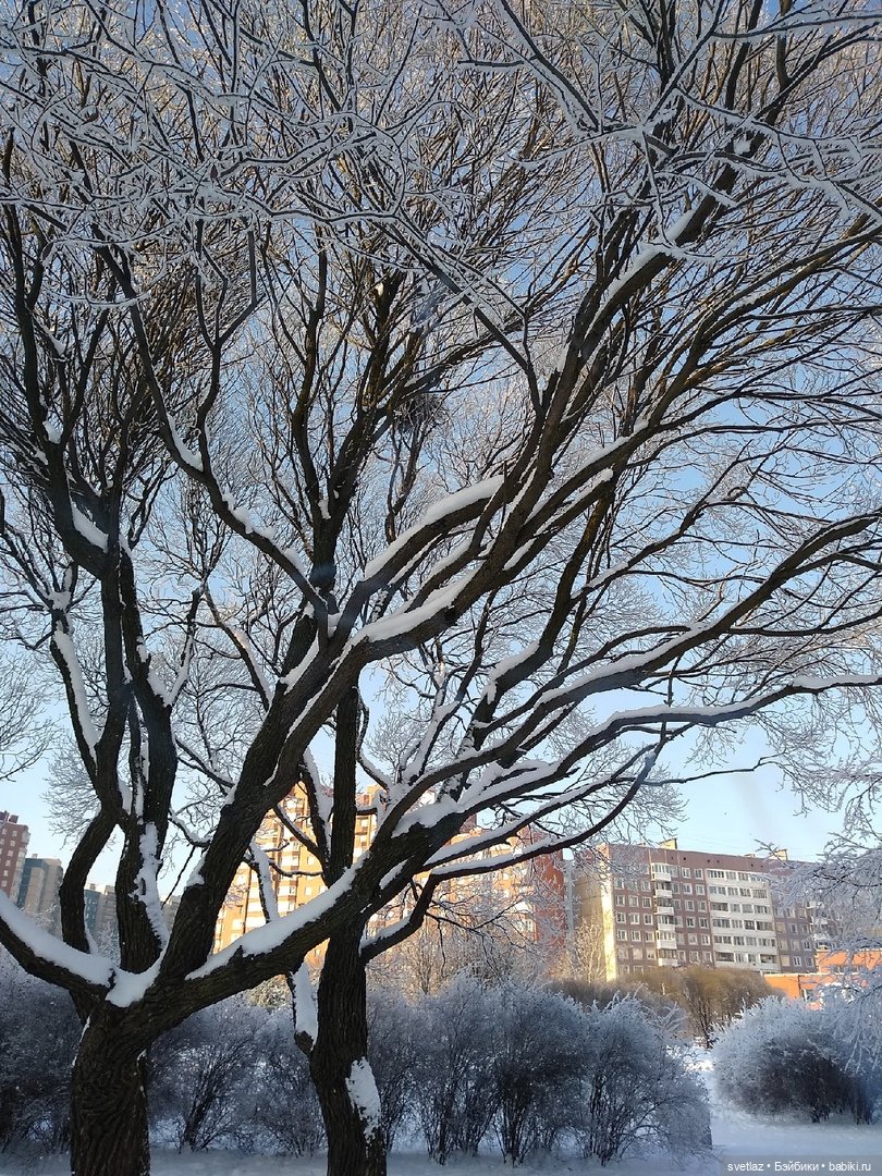 Один чудесный зимний день | Бэйбики Один чудесный зимний день
