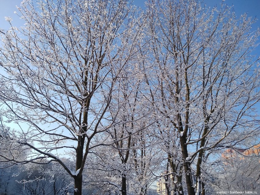 Один чудесный зимний день | Бэйбики Один чудесный зимний день
