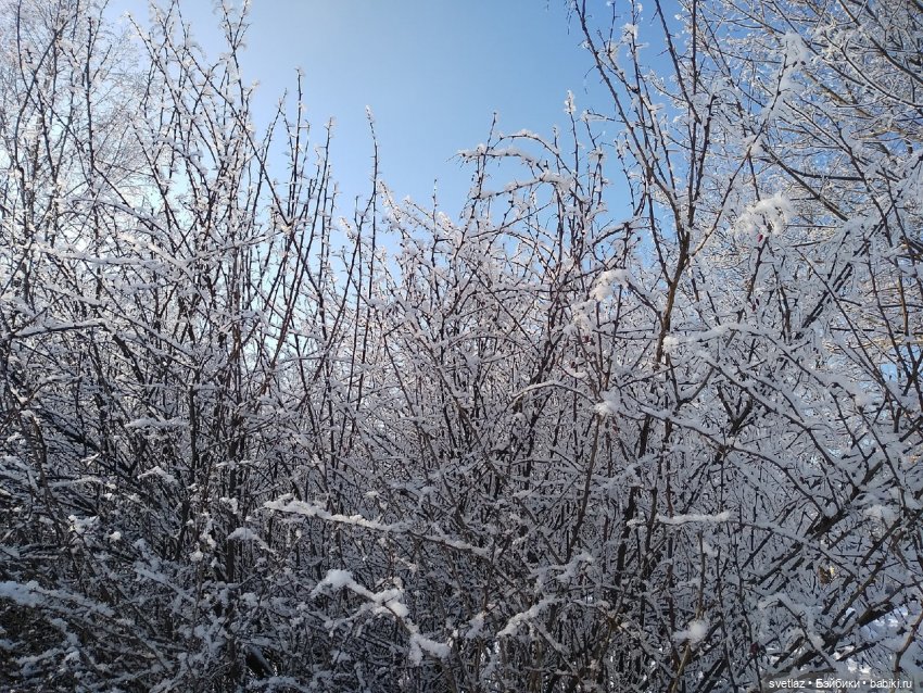 Один чудесный зимний день | Бэйбики Один чудесный зимний день
