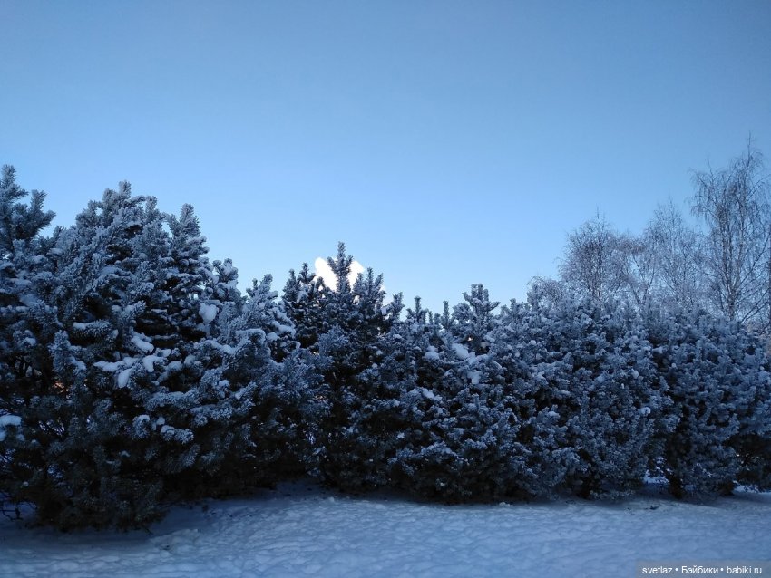 Один чудесный зимний день | Бэйбики Один чудесный зимний день