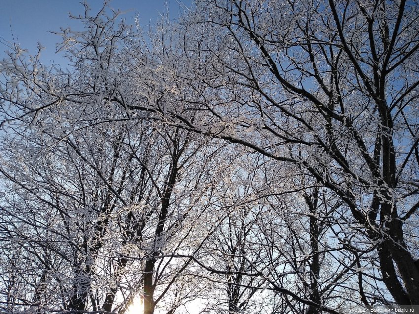 Один чудесный зимний день | Бэйбики Один чудесный зимний день