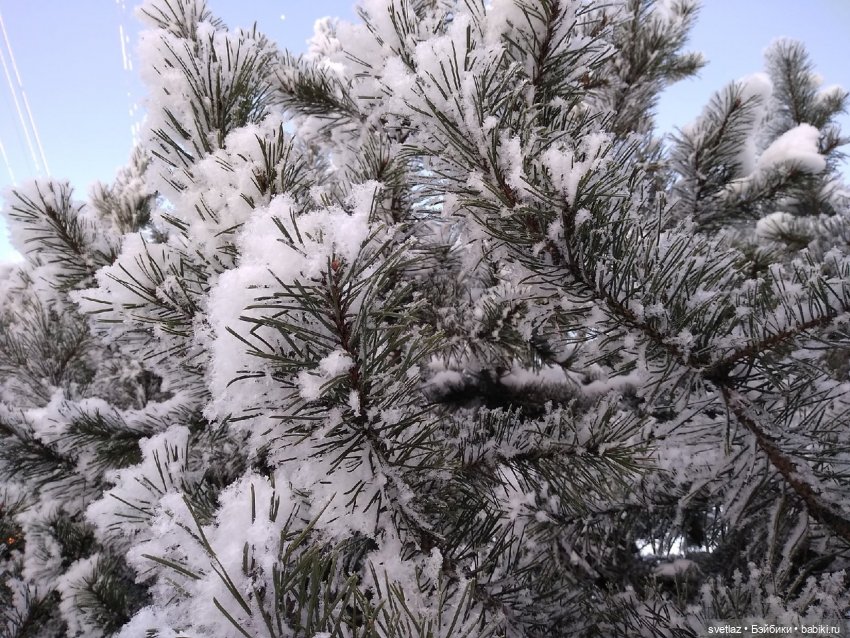 Один чудесный зимний день | Бэйбики Один чудесный зимний день