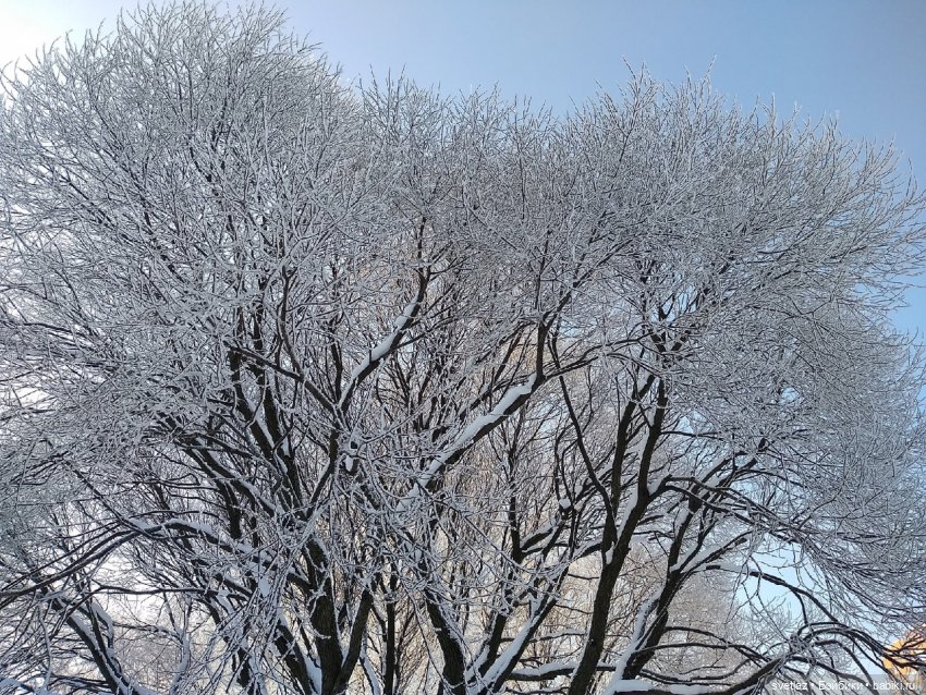 Один чудесный зимний день | Бэйбики Один чудесный зимний день