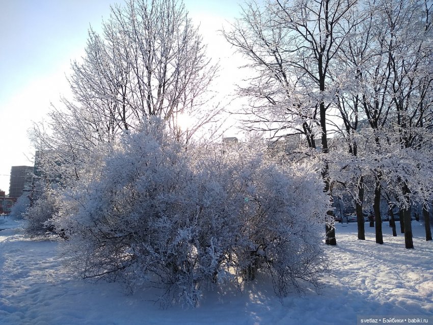 Один чудесный зимний день | Бэйбики Один чудесный зимний день (фото 2)