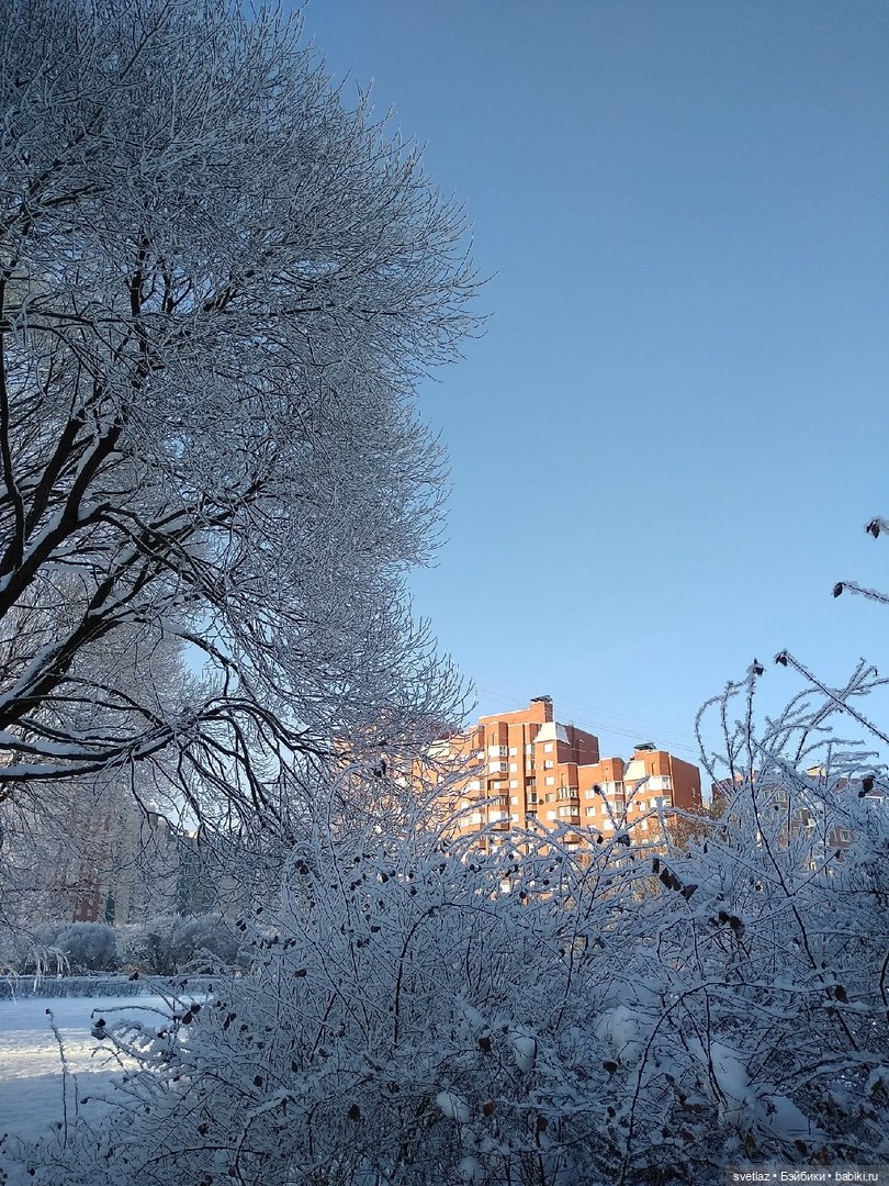 Один чудесный зимний день | Бэйбики Один чудесный зимний день