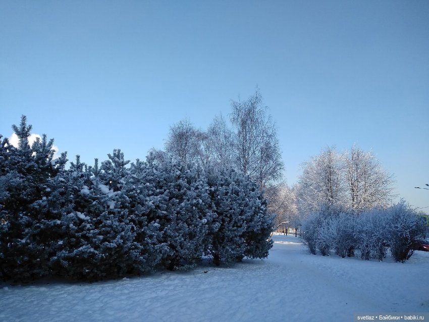 Один чудесный зимний день | Бэйбики Один чудесный зимний день