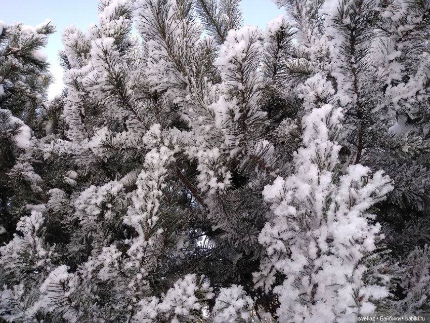 Один чудесный зимний день | Бэйбики Один чудесный зимний день