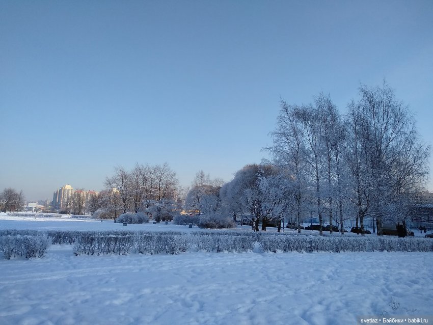 Один чудесный зимний день | Бэйбики Один чудесный зимний день