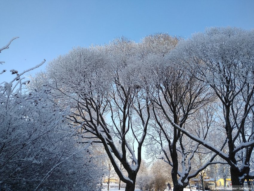 Один чудесный зимний день | Бэйбики Один чудесный зимний день