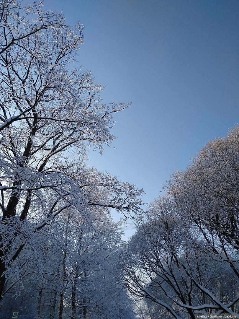 Один чудесный зимний день | Бэйбики Один чудесный зимний день