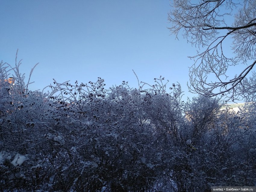 Один чудесный зимний день | Бэйбики Один чудесный зимний день