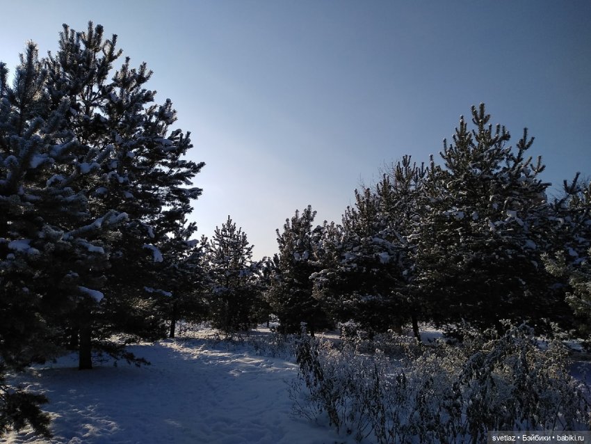 Один чудесный зимний день | Бэйбики Один чудесный зимний день