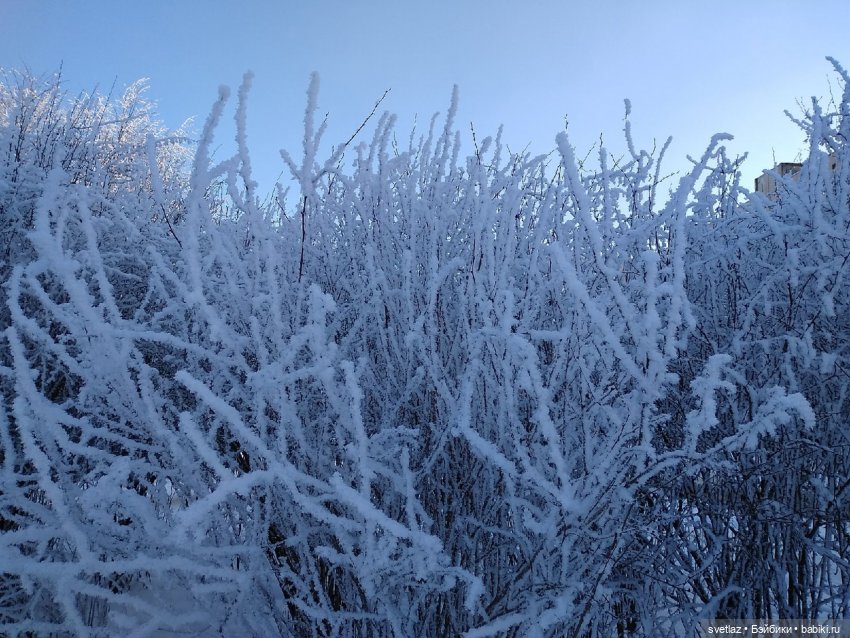 Один чудесный зимний день | Бэйбики Один чудесный зимний день