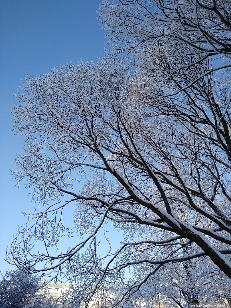 Один чудесный зимний день | Бэйбики Один чудесный зимний день