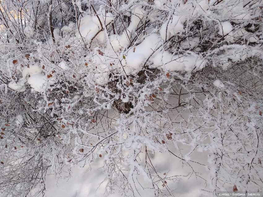Один чудесный зимний день | Бэйбики Один чудесный зимний день