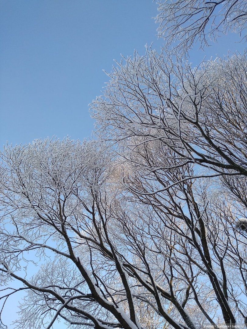 Один чудесный зимний день | Бэйбики Один чудесный зимний день
