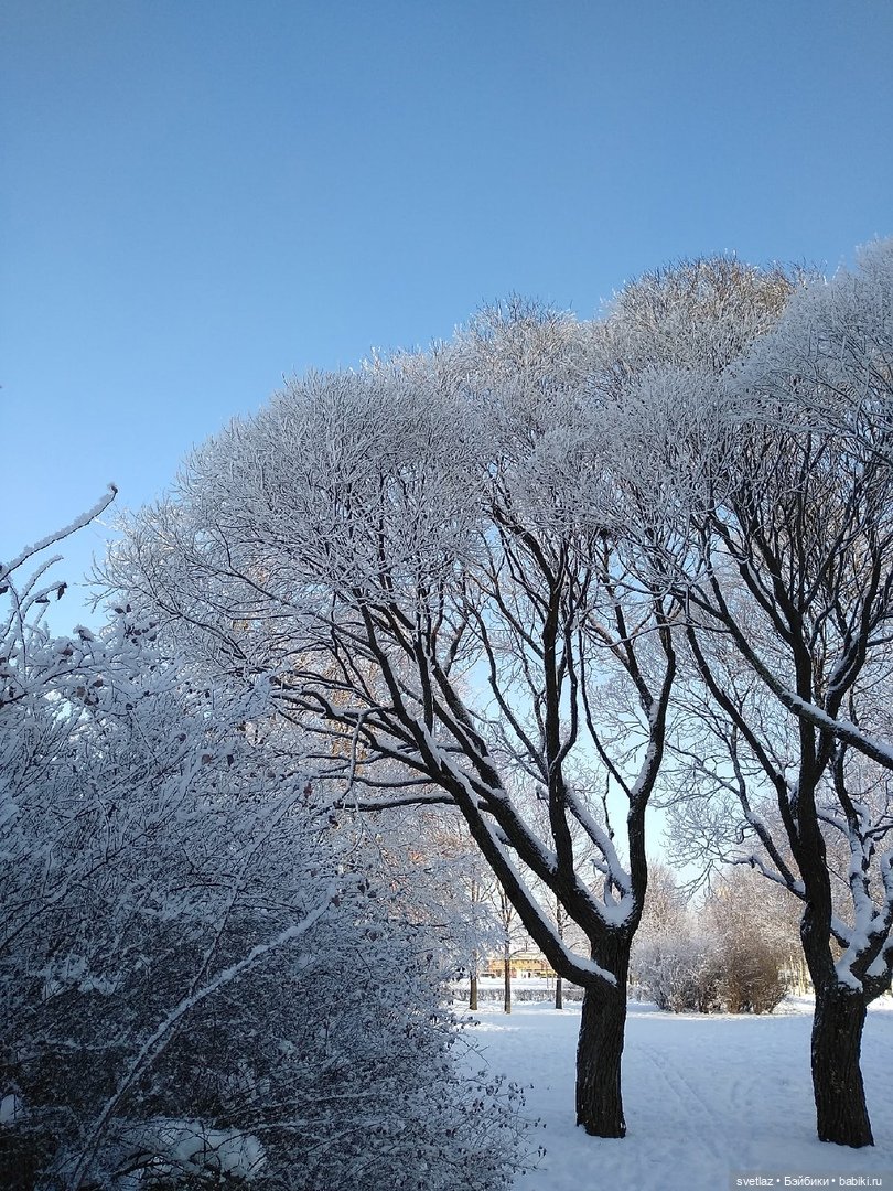 Один чудесный зимний день | Бэйбики Один чудесный зимний день