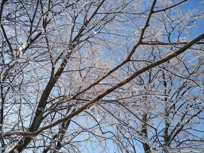 Один чудесный зимний день | Бэйбики Один чудесный зимний день