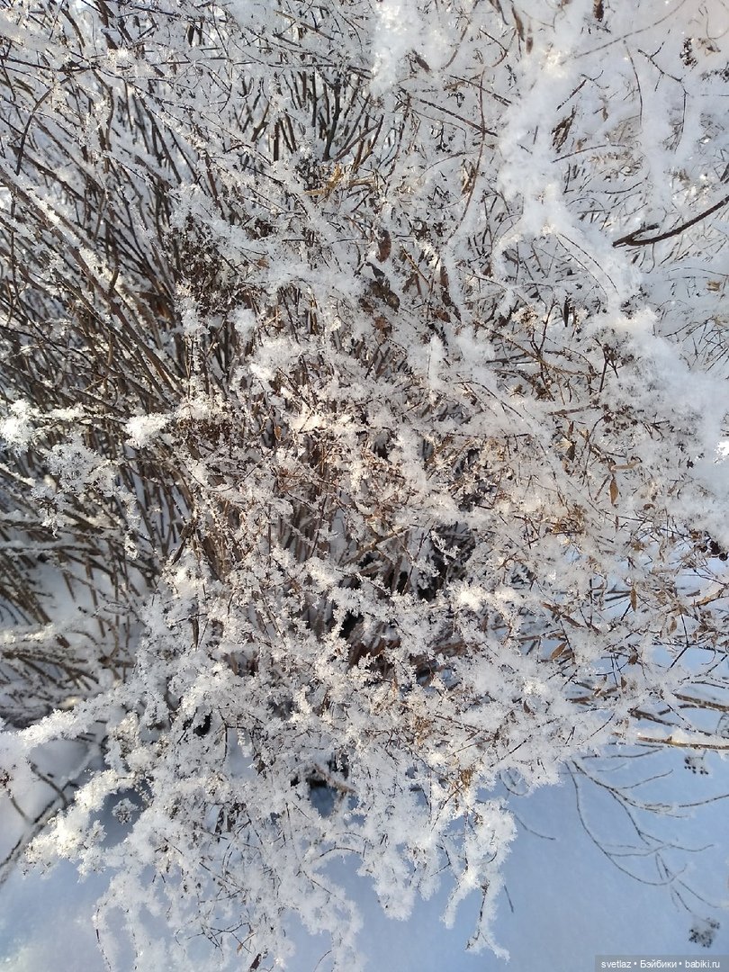 Один чудесный зимний день | Бэйбики Один чудесный зимний день