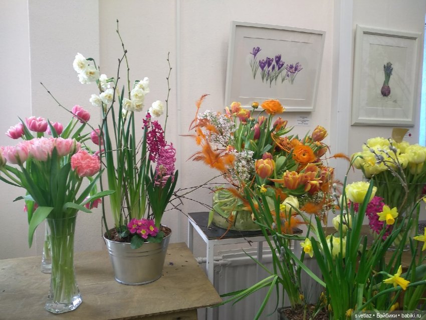 Весна, весна! Цветы, цветы