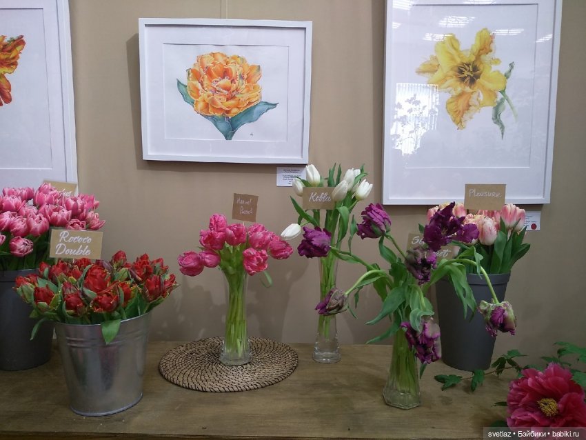 Весна, весна! Цветы, цветы