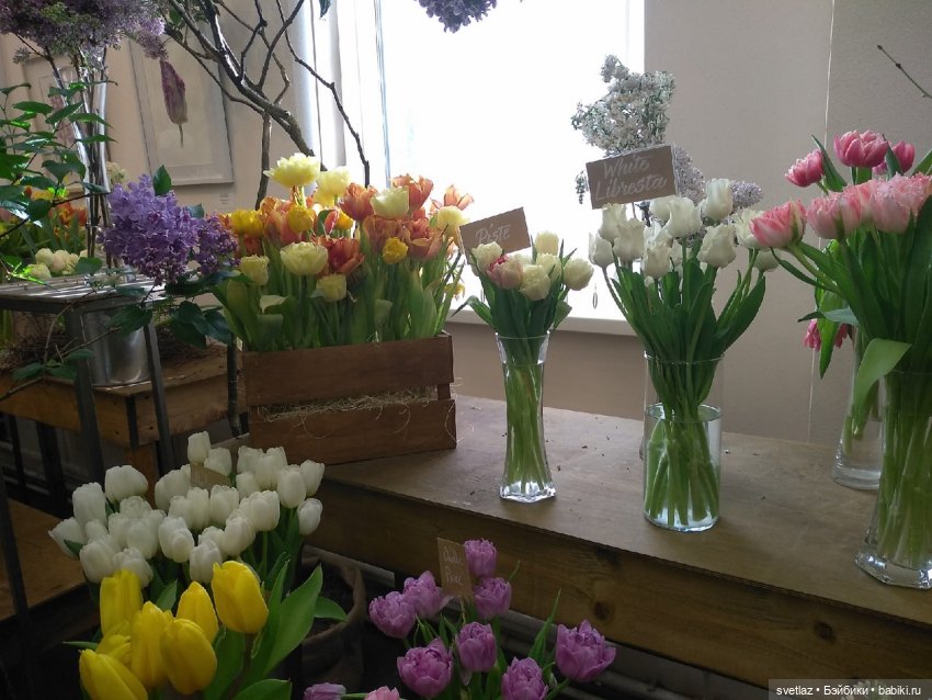 Весна, весна! Цветы, цветы