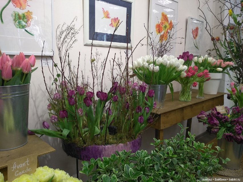 Весна, весна! Цветы, цветы