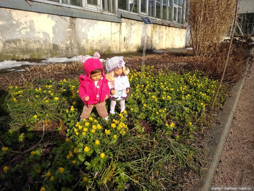 Весна, весна! Цветы, цветы